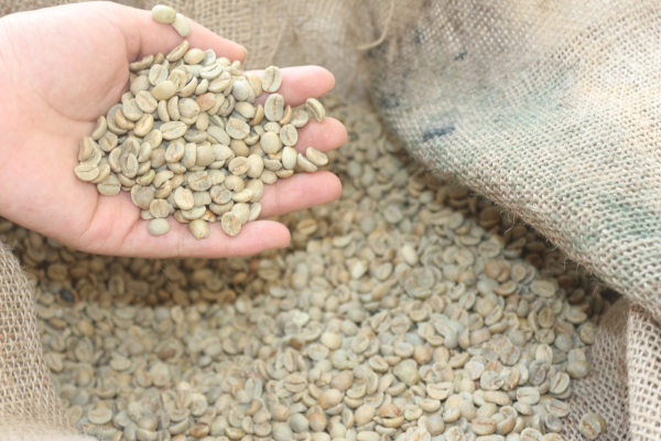 快(kuài)速識别咖啡的(de)種類