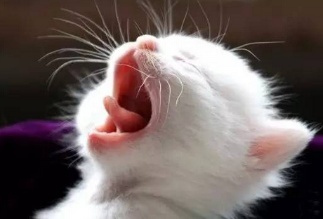 2018夏季飲品榛果冰拿(ná)鐵(tiě)|夏季飲品配方|冰咖啡做(zuò)法|冰咖啡配方