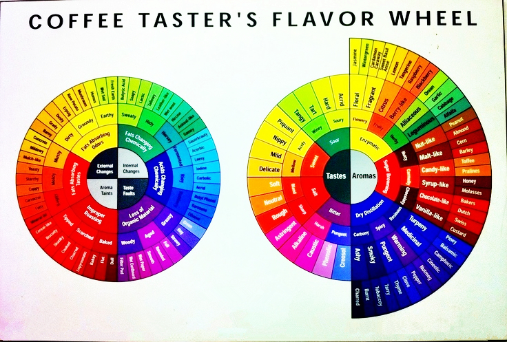 咖啡飲品風(fēng)味鑒賞之淺析